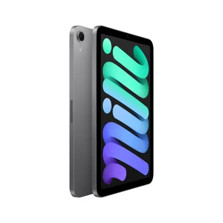 iPad mini WiFi 256GB Gris