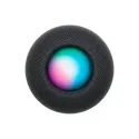 HomePod Mini Grau Apple Großhandel B2B 📦