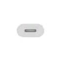 USBCLightning Adapter