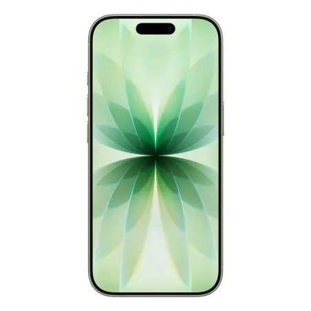 iPhone 17 256GB Grün salvia — B2B-Großhandelspreis