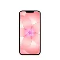 iPhone 17e 512GB Rosé Suave Apple Großhandel B2B 📦