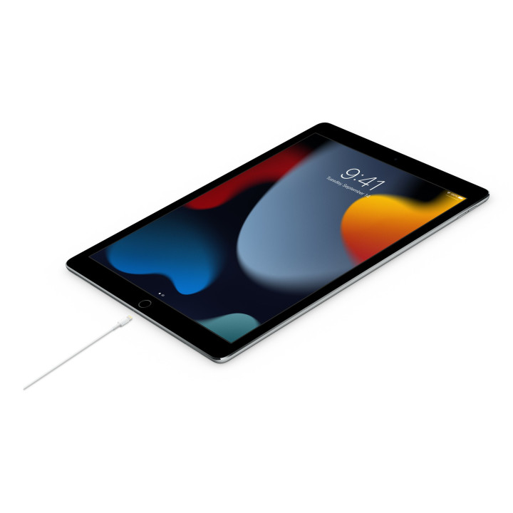 🛒 Kaufen Sie Weißes USBC -Blitzkabel 2m 